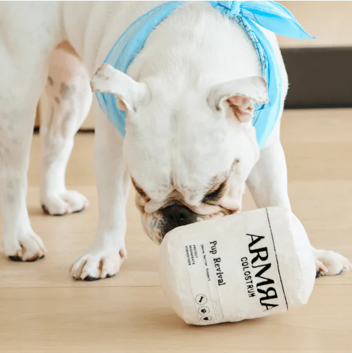The ARMRA Pup Revival Dog Toy - Image 3